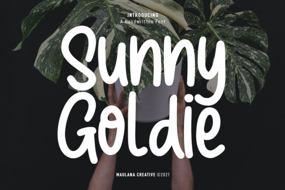 Discover the Charm of Sunny Goldie for Your Web Design