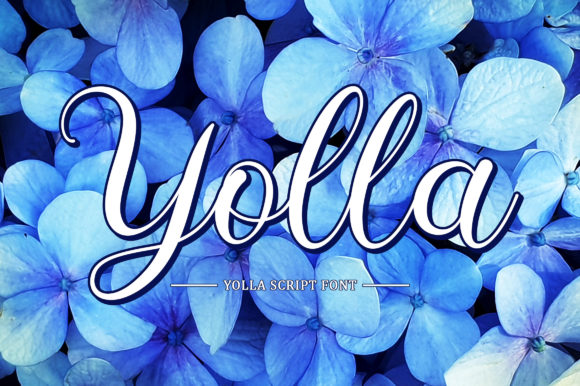 Discover Yolla: An Elegant Script Font for Editorial Design