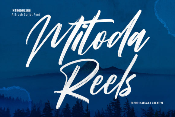 Elevate Your Web Design with Mitoda Reels Font