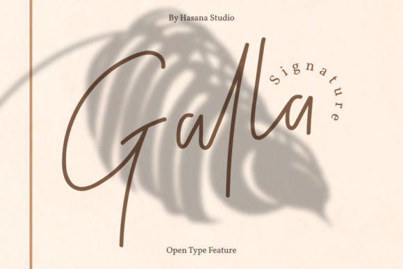 Galla Signature: A Delicate Script Font for Elegant Campaigns