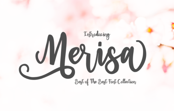 Merisa: A Versatile Script Font for Craft and Design