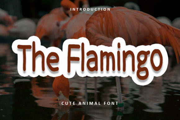 The Flamingo: A Charming Handwritten Font for Editorial Design